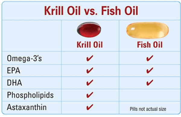 Dầu nhuyễn thể (Krill Oil) là gì? Tác dụng của dầu nhuyễn thể?