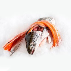 Đầu cá + Bộ xương cá Hồi Na Uy