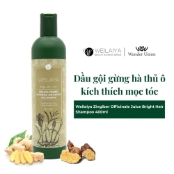 Dầu Gội Weilaiya Chính Hãng Tinh Chất Gừng Hà Thủ Ô (Nhãn Nâu) 400ml Hỗ Trợ Mọc Tóc Ngăn Rụng Tóc - Cho Da Khô