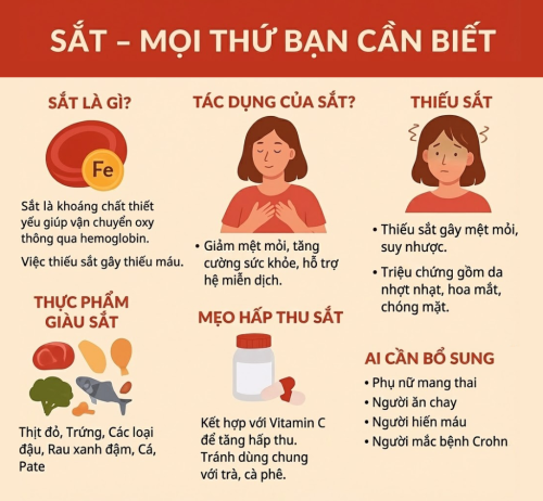 Sắt - Mọi thứ bạn cần biết