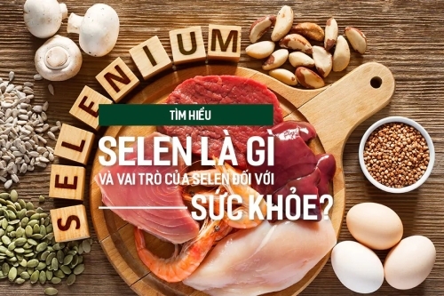 ⚡ Selen Là Gì? – Liều Dùng & Thực Phẩm Giàu Selen
