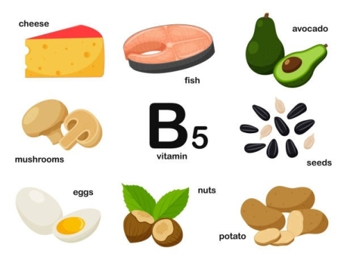 ⚡ Vitamin B5 (Axit Pantothenic) Là Gì? - Công dụng - Thực phẩm giàu Vitamin B5